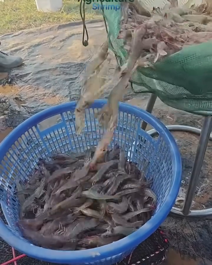 Inscríbete y Prepara