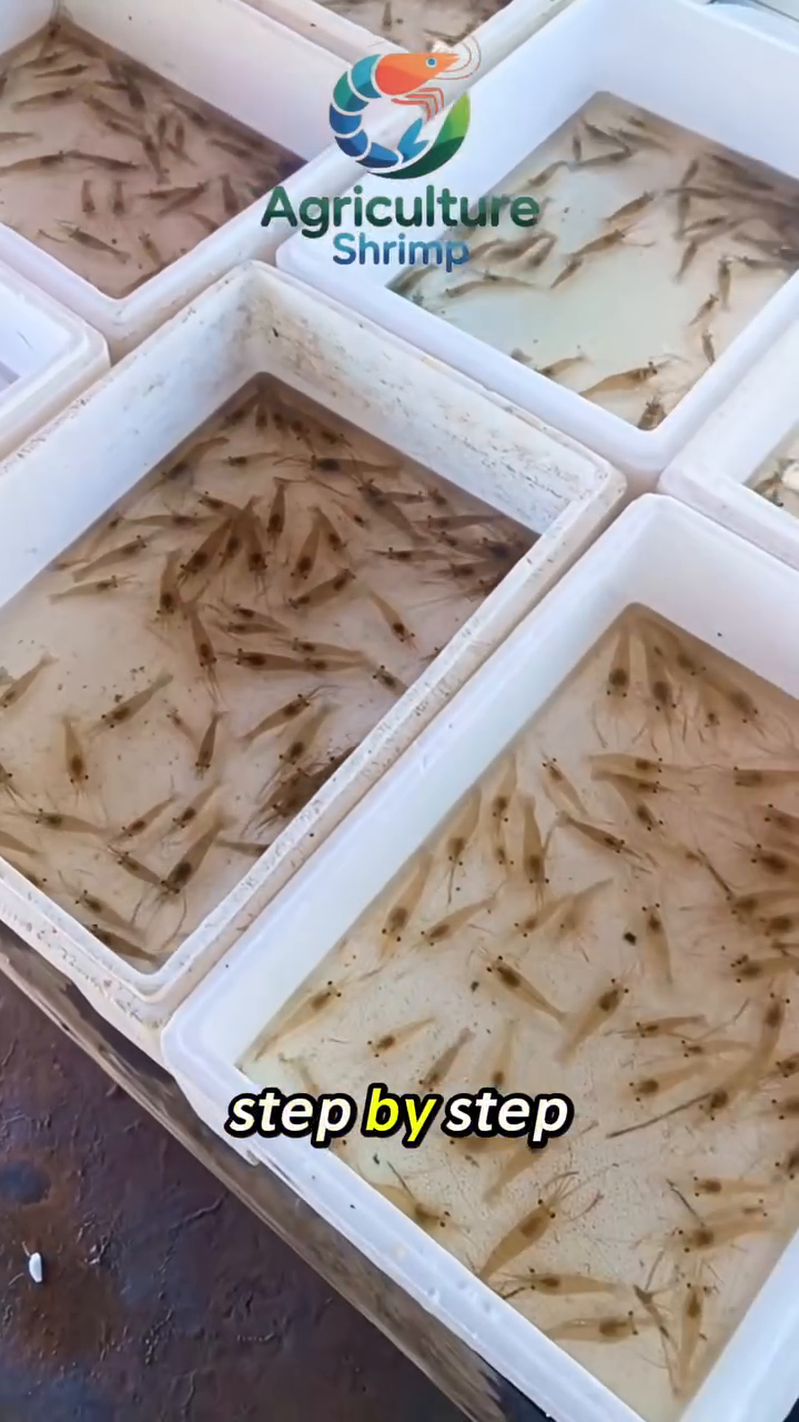 Cultiva y Automatiza